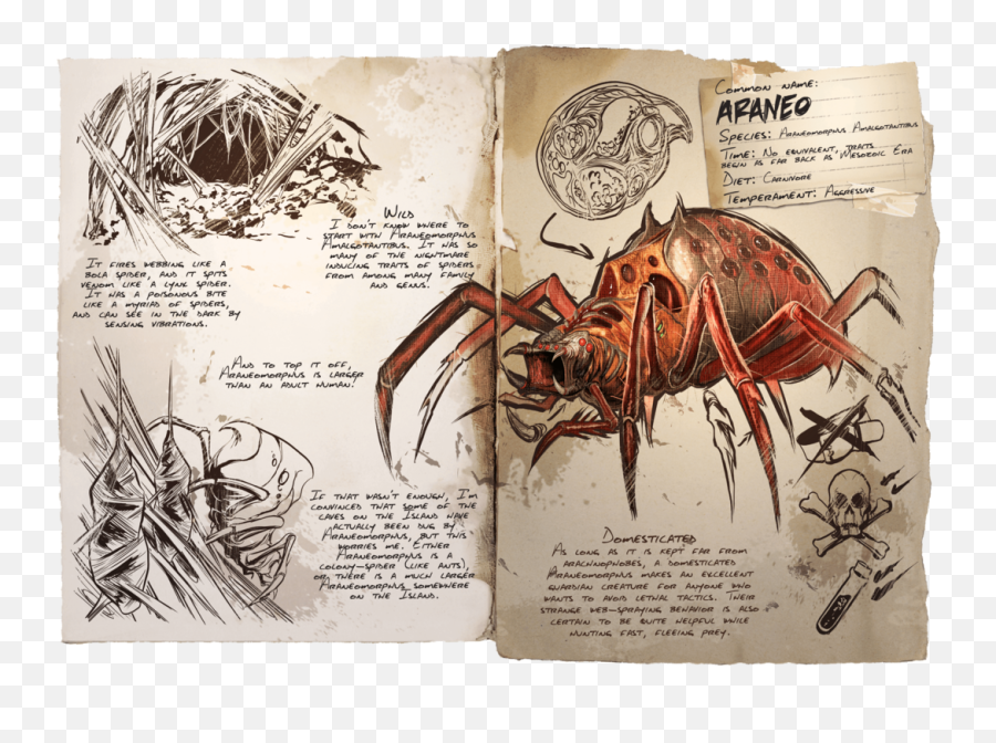 Araneo - Official Ark Survival Evolved Wiki Dino Dossier Ark Araneo Png,Spiders Png