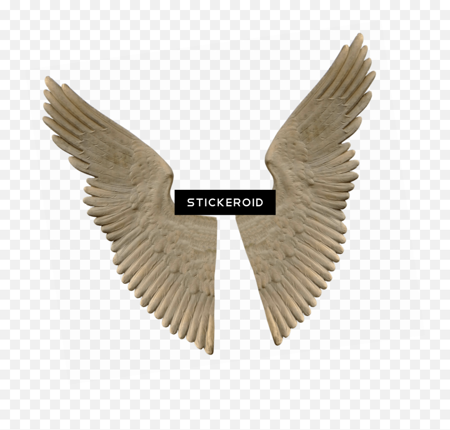 Download Stone Angel Wings - Full Size Png Image Pngkit Statue Wings Png,Angel Wing Png