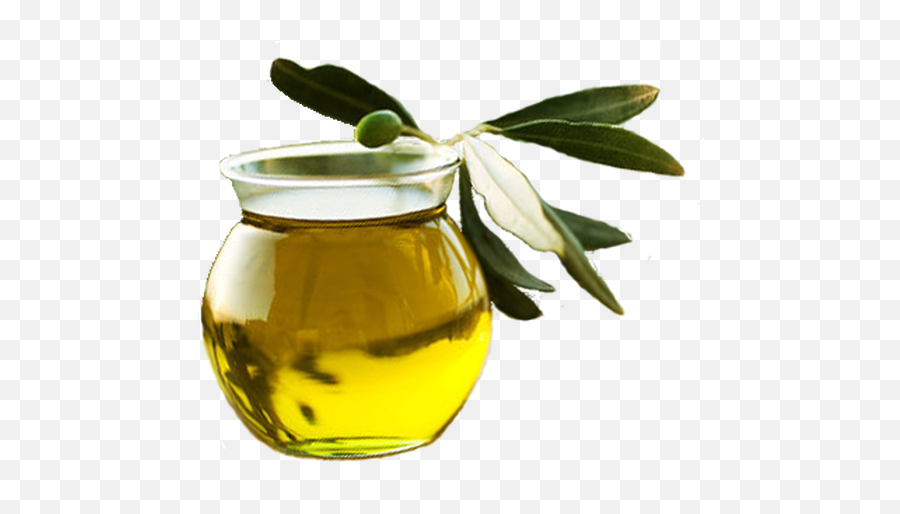 Fullscreen Page Wixtest - Green Olive Oil Png,Olive Oil Png