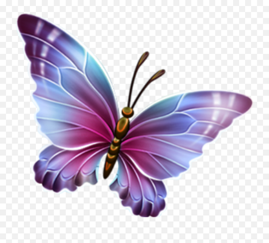 Butterfly Clipart Hd Png Download - Transparent Background Butterfly Clipart,Butterfly Transparent Background