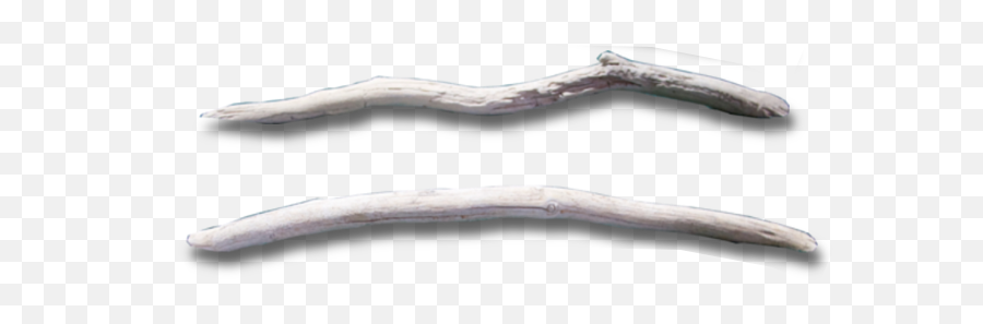 Large Driftwood - Solid Png,Driftwood Png