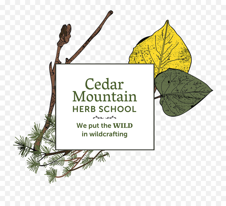 Home Page U2022 Cedar Mountain Herb School - Language Png,Herb Png