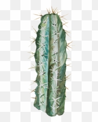 Download Transparent For Hand Painted - Spiked png