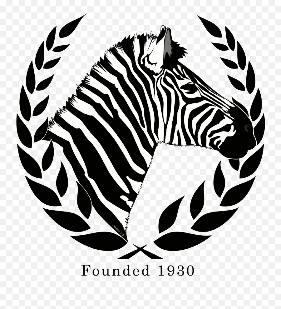 Zebra Basketball Tournament - San Jose Zebras Png,Zebra Logo Png
