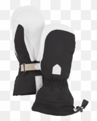 Shop Everything - Hestra png