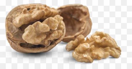 Walnut Png - Walnuts Png Transparent,Walnut Transparent