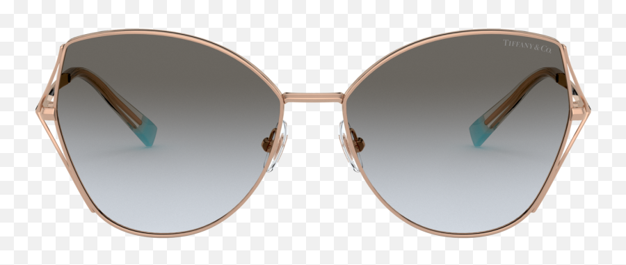 Tiffany U0026 Co Tf3072 59 Brown Gradient Pale Gold - Full Rim Png,Silhouette Glasses Tma Icon