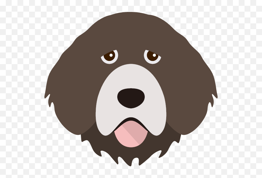 Create A Tailor - Made Shop Just For Your Portuguese Water Dog Water Dog Png,Carlos Descendants Icon
