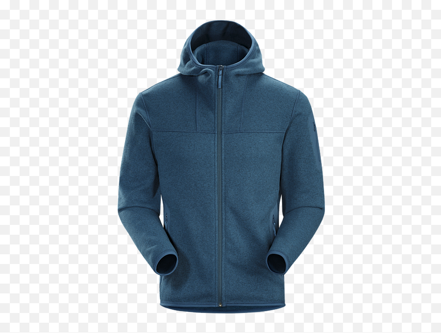 Arcu2019teryx Covert Hoody Menu0027s - Hooded Png,Pegasus Xl Icon