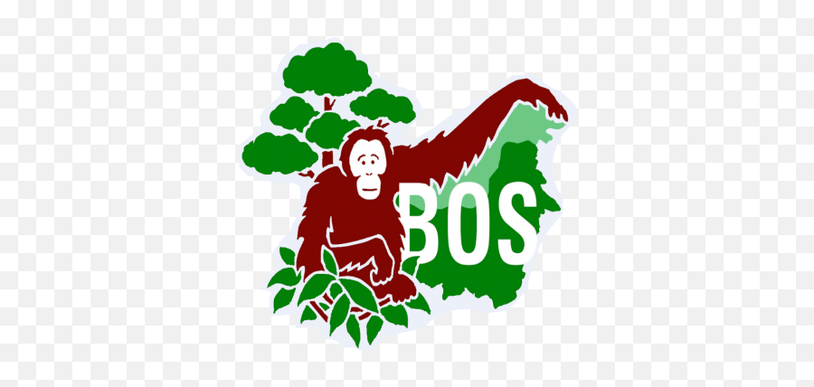 Kasi - Borneo Orangutan Survival Foundation Png,Endangered Species Icon