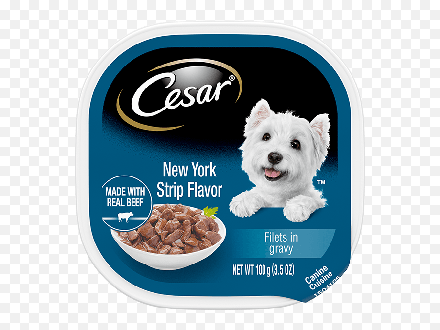 New York Strip Flavor Wet Dog Food Cesar Png Social Media Icon