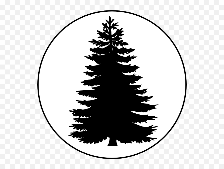 Download Pix For Evergreen Tree Outline - Pine Tree Vector Pine Tree Png,Pine Tree Transparent Background