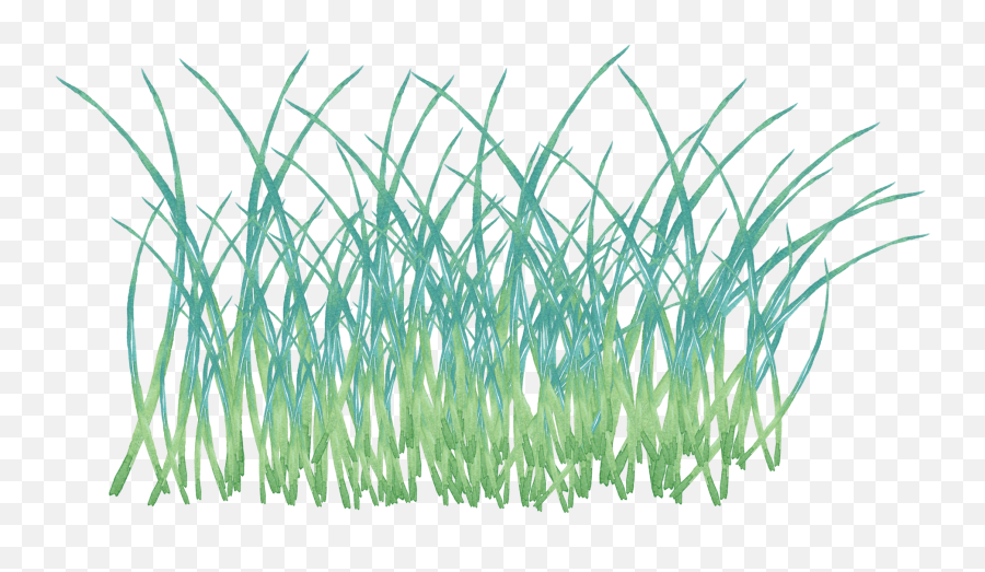 Creativity Watercolor Png And Psd - Grass,Grass Clipart Png