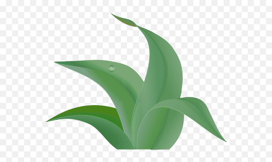 Jungle Leaves Clip Art - Agave Png,Jungle Leaves Png