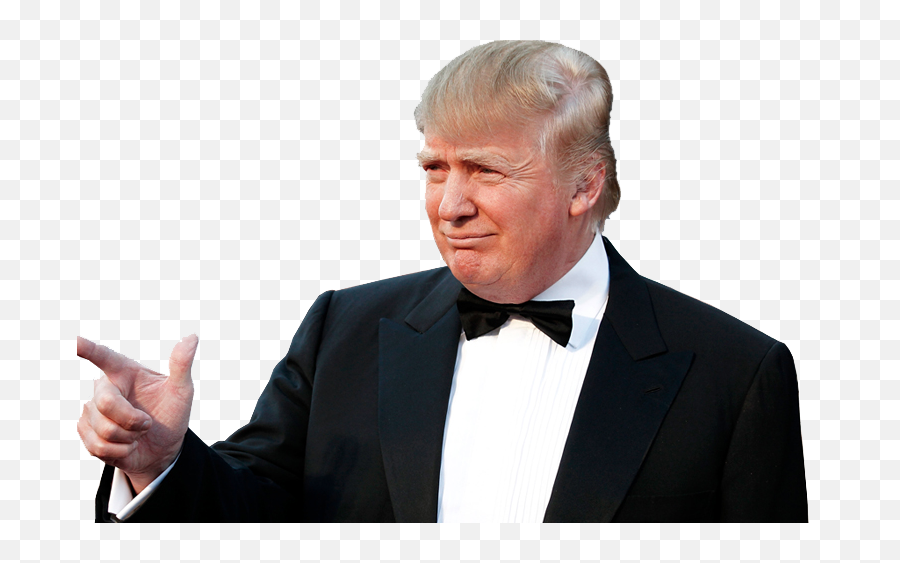 Download Donald Trump Png - Sticker De Donald Trump Png,Trump Png
