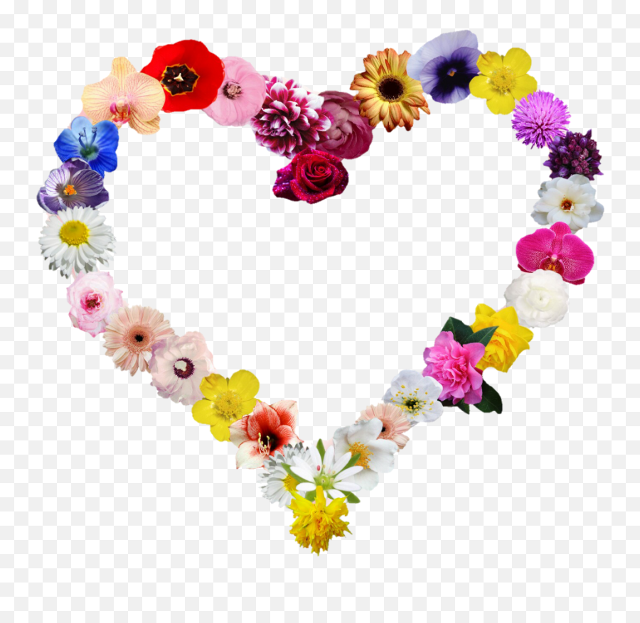 Download Heartshapes Heart Flowers - Flowers In Heart Shape Png,Flower Shape Png