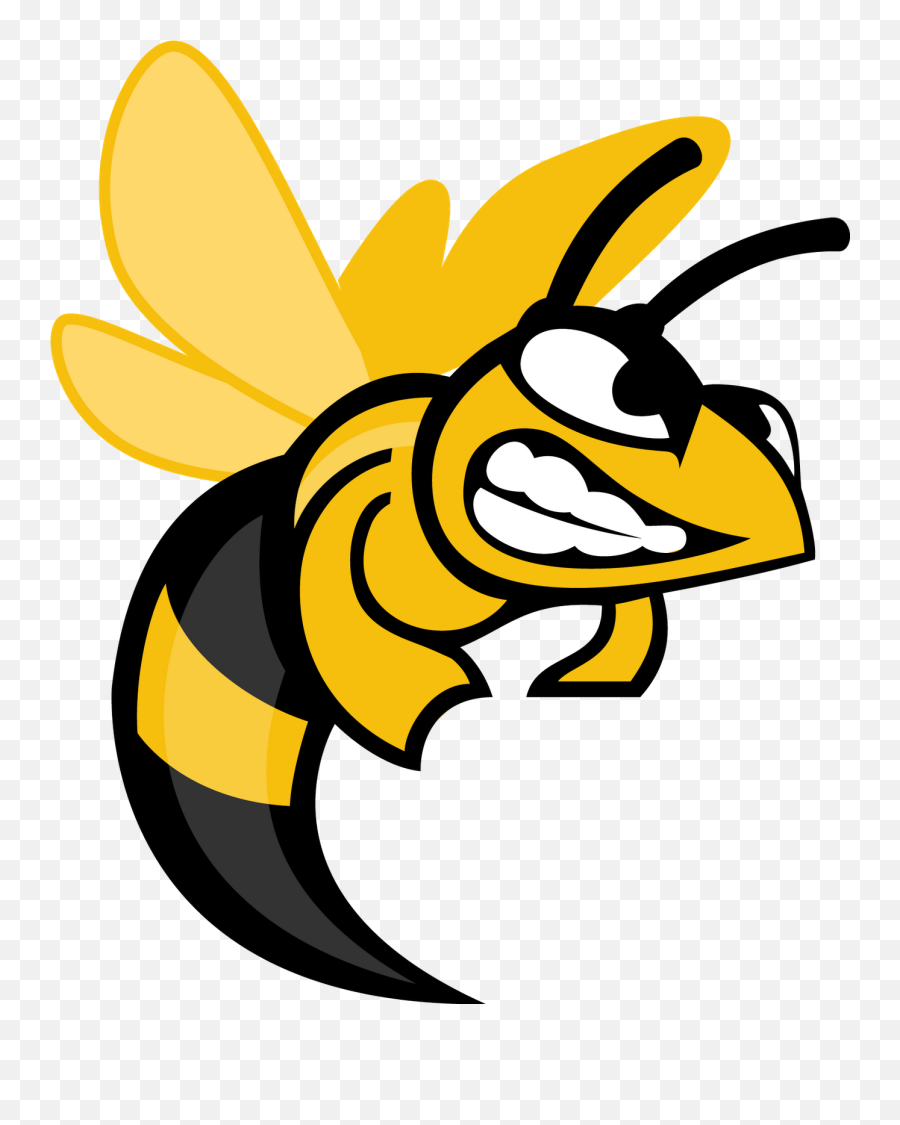 Free Hornet Mascot Download Clip Art - Suny Broome Community College Png,Hornets Logo Png