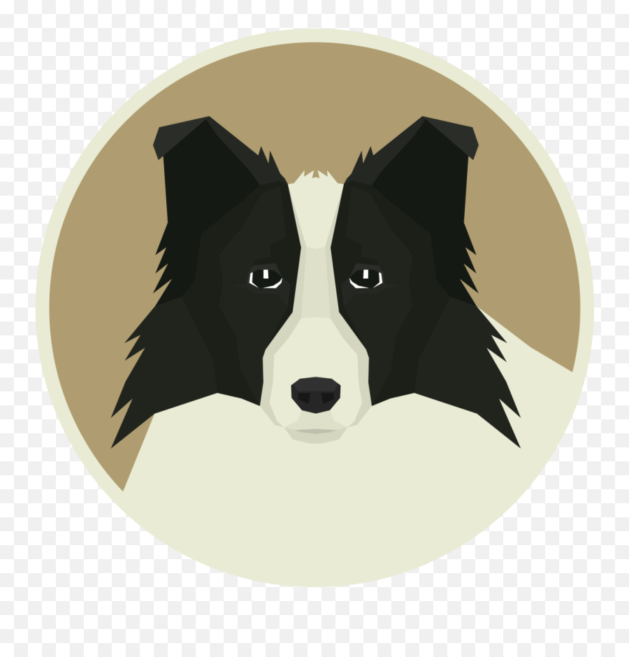 Border Collie - Border Collie Png,Border Collie Png