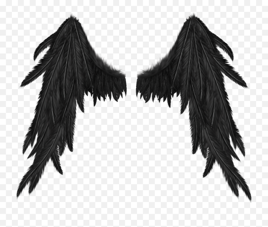 Dark Angel Wings Drawing - Black Wings Transparent Background Png,Black  Angel Wings Png - free transparent png images 
