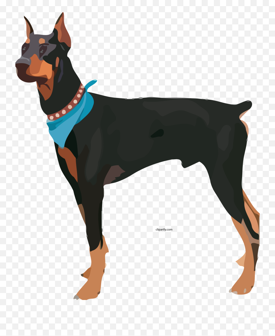 Attack Dog Clipart Png - Clip Art For Doberman,Doberman Png