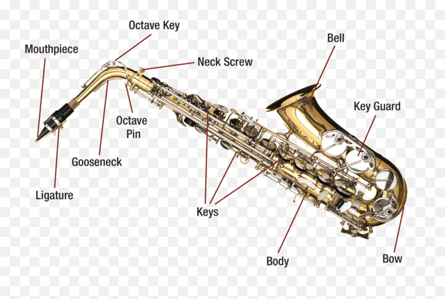 Saxophone Presto Instruments - Diagram Of The Alto Saxophone Png,Saxophone Transparent
