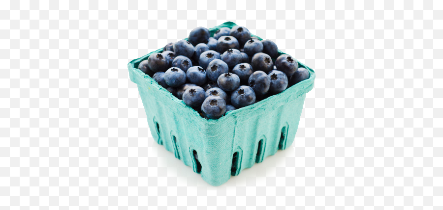 Download Hd Blueberrylife - Carton Of Blueberries Carton Of Blueberries Png,Blueberry Transparent Background