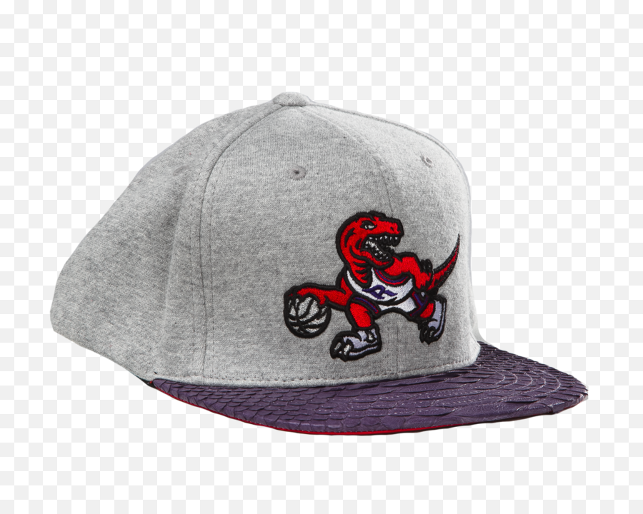 Download Toronto Raptors Logo Just Don By Mitchell And - Baseball Cap Png,Raptors Logo Png