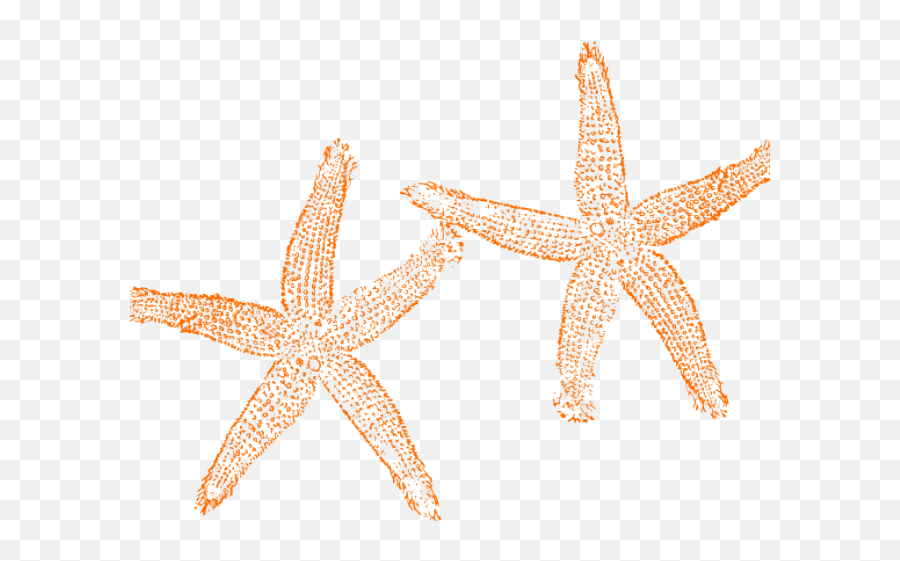 Starfish Clipart Orange - Orange Starfish Clipart Clipart Blue Starfish Png,Starfish Clipart Transparent Background