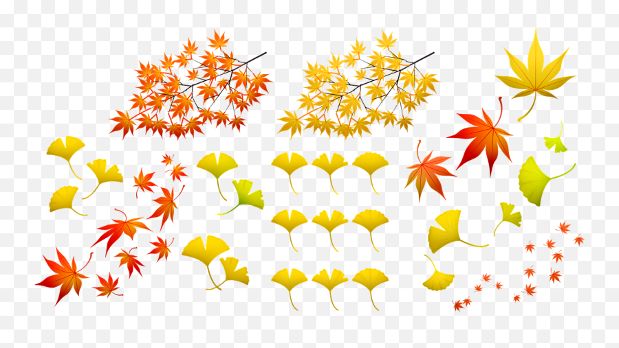 Fall Leaves Autumn Leaf Nature - Free Image On Pixabay Autumn Leaf Color Png,Fall Leaf Border Png
