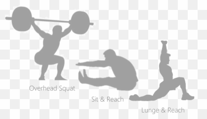 Test Your Mobility - Active Png,Squat Png