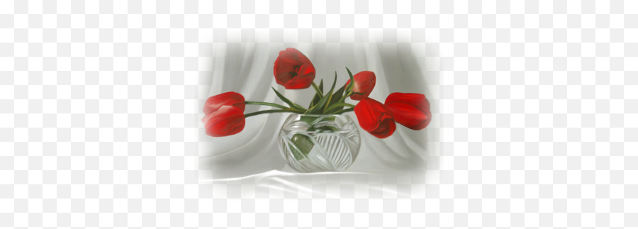 Index Of Userstbalzeflowertulip - Still Life Photography Png,Tulips Png