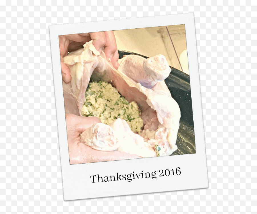 Stuffing Dressing - Dish Png,Stuffing Png