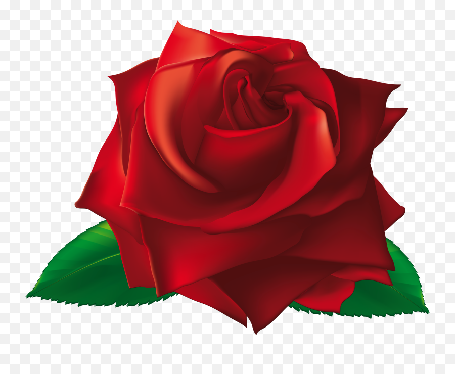 Red Single Rose Png Clipart Image - Single Rose Images Png,Single Rose Png