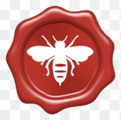 In - Design png
