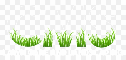 Photos Cms Lawn Care And La - Cms Lawn Care And Landscaping Png,Webs Png