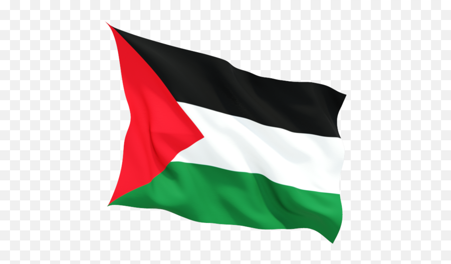 Flag Of Palestine Icon 1457211 - Png Images Pngio,Yoko Littner Icon Png