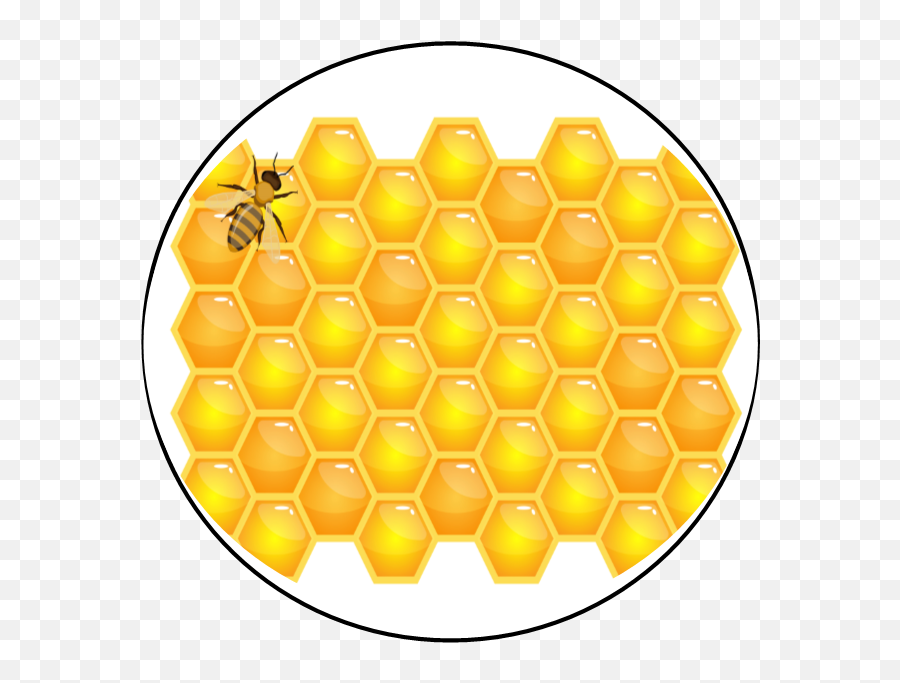 Backyard Bees Nyc U2013 Skin Sweetnessu2026inspired By Nature - Horizontal Png,Bee Icon Vector