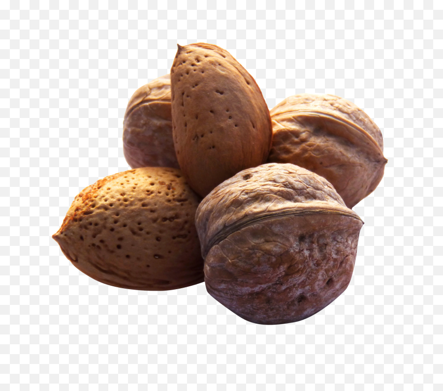 Png Walnut - Transparent Nuts,Walnut Transparent