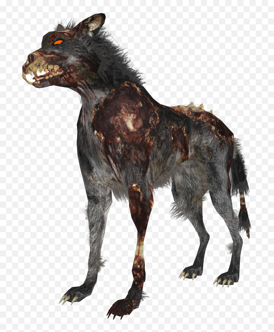 Download Zombie Wolf Zps4bf8a59d - Black Ops Hellhound Png Hell Hound Call Of Duty,Black Ops Png