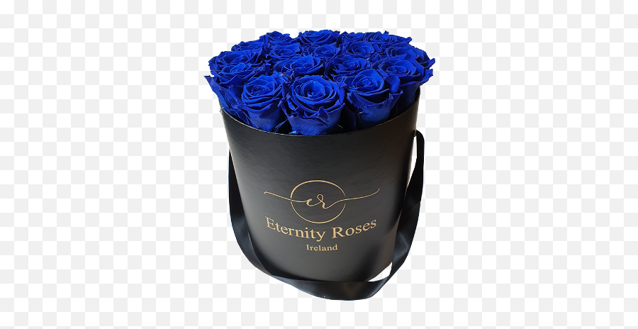 Everlasting Roses Ireland Preserved Rose Eternity - Lovely Png,Blue Rose Icon