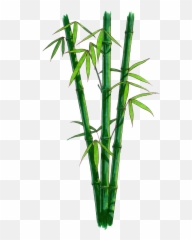 84 Bamboo Png Images Are Available Free - Transparent Bamboo Png,Bamboo Leaves Png