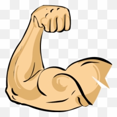 Muscles Clipart - Arm Making png