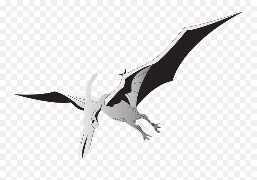 Bird Silver Wings - Transparent Robot Pterodactyl Png,Pterodactyl Png