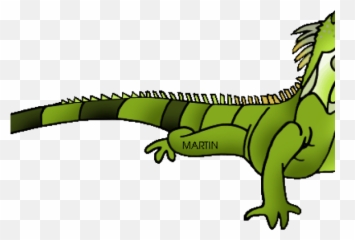 Download Green Iguana Geico Free - Iguana Clipart Transparent Png,Iguana Png