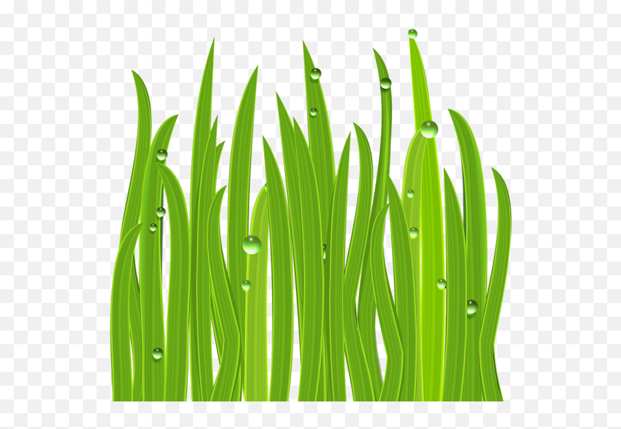 Grass Decor Png Clipart Image - Lake Grass Clipart,Grass Clipart Png