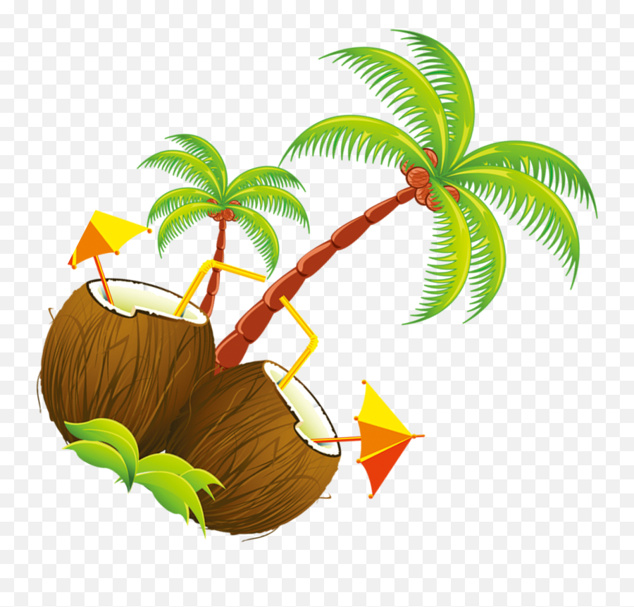 Coconut Tree Illustration - Tropical Drinks Shower Curtain Cartoon Animated Coconut Tree Png,Curtain Png