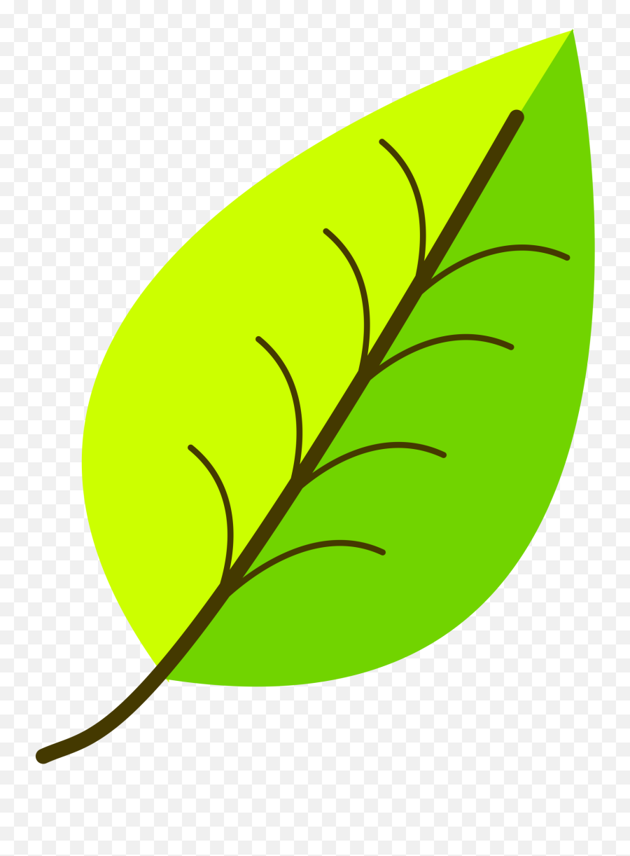 Leaf Clipart Png 1 Station - Leaf Clipart Png,Leaves Clipart Png