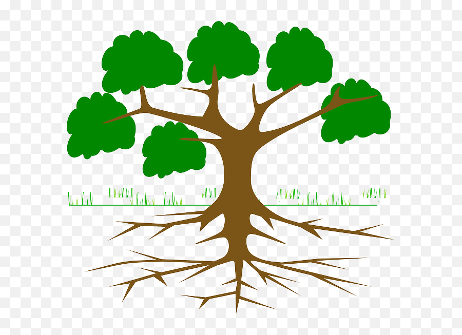 Tree Branches Root Eco Ecology Nature Plant - Arbol De Tree With Roots For Kids Png,Arbol Png