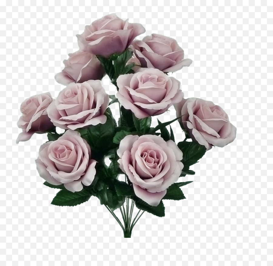 17 Lillian Rose Bush Dusty Pink 10 - Garden Roses Png,Rose Bush Png