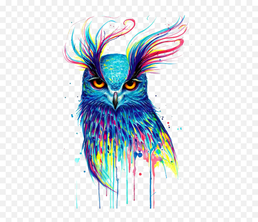 Owl Illustration Png Image Free - Watercolor Owl,Owl Png